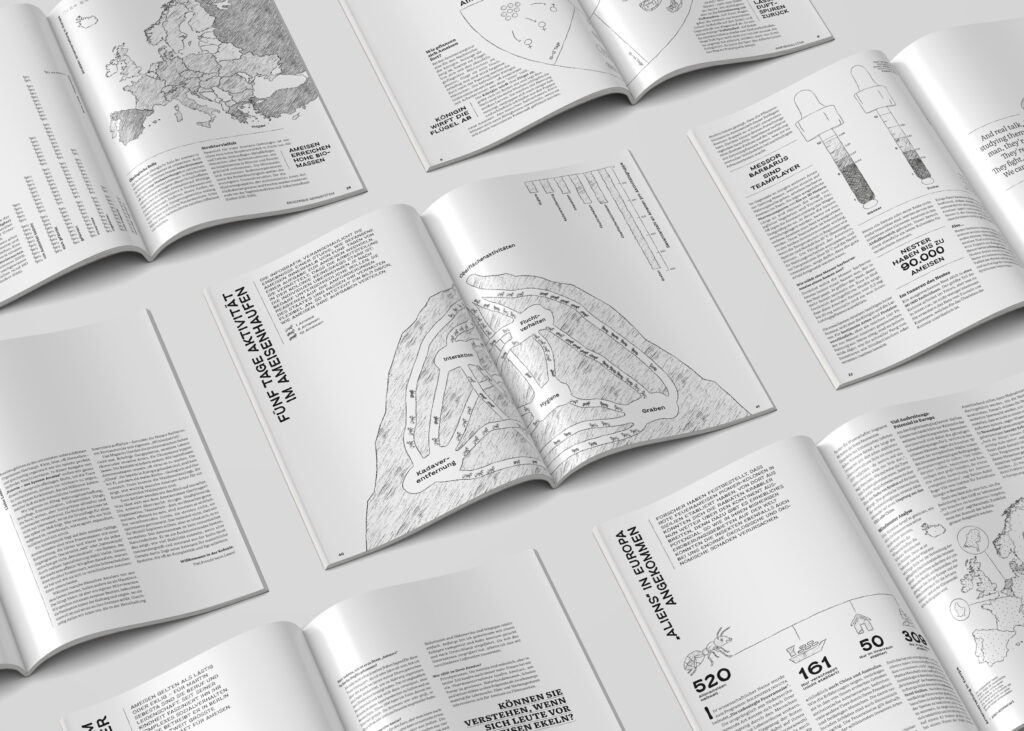 Layoutübersicht von einem Magazin über Ameisen